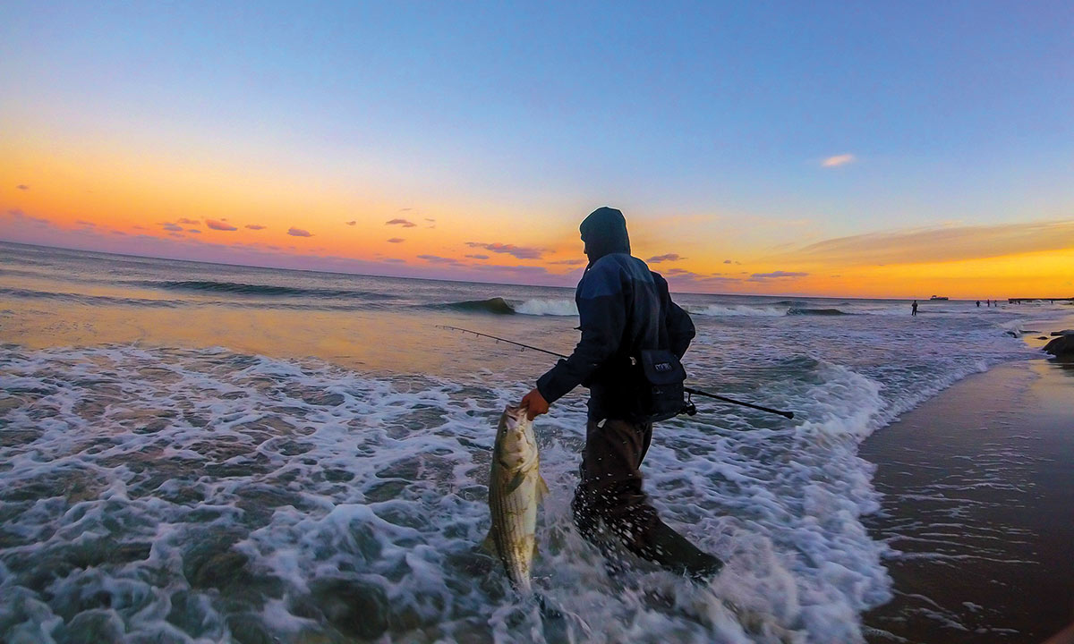 2018 9 New Gear For 18 Beyond Surf Bass Sunset Release Mike DeMarco