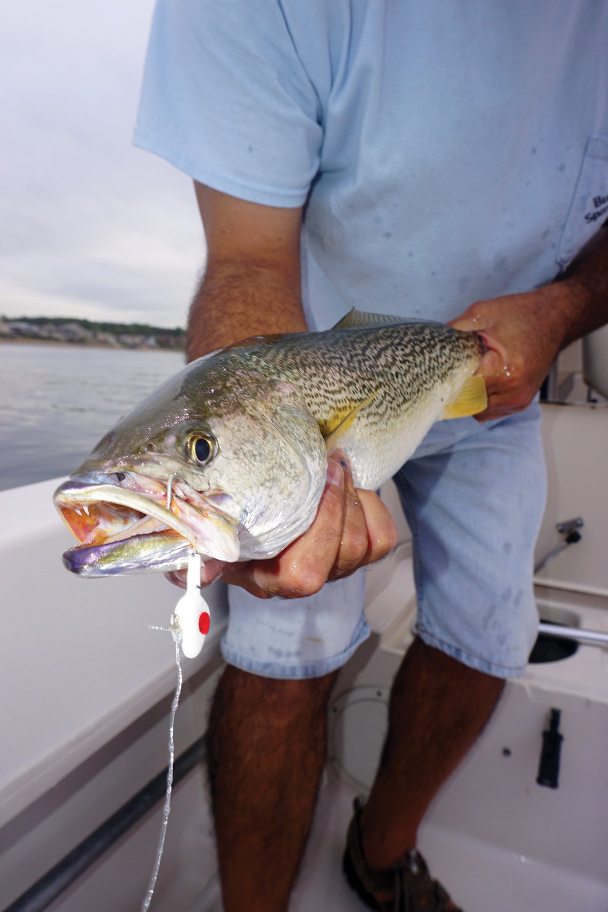 How To Fish Micro Jigs For Stubborn Summer Trout 