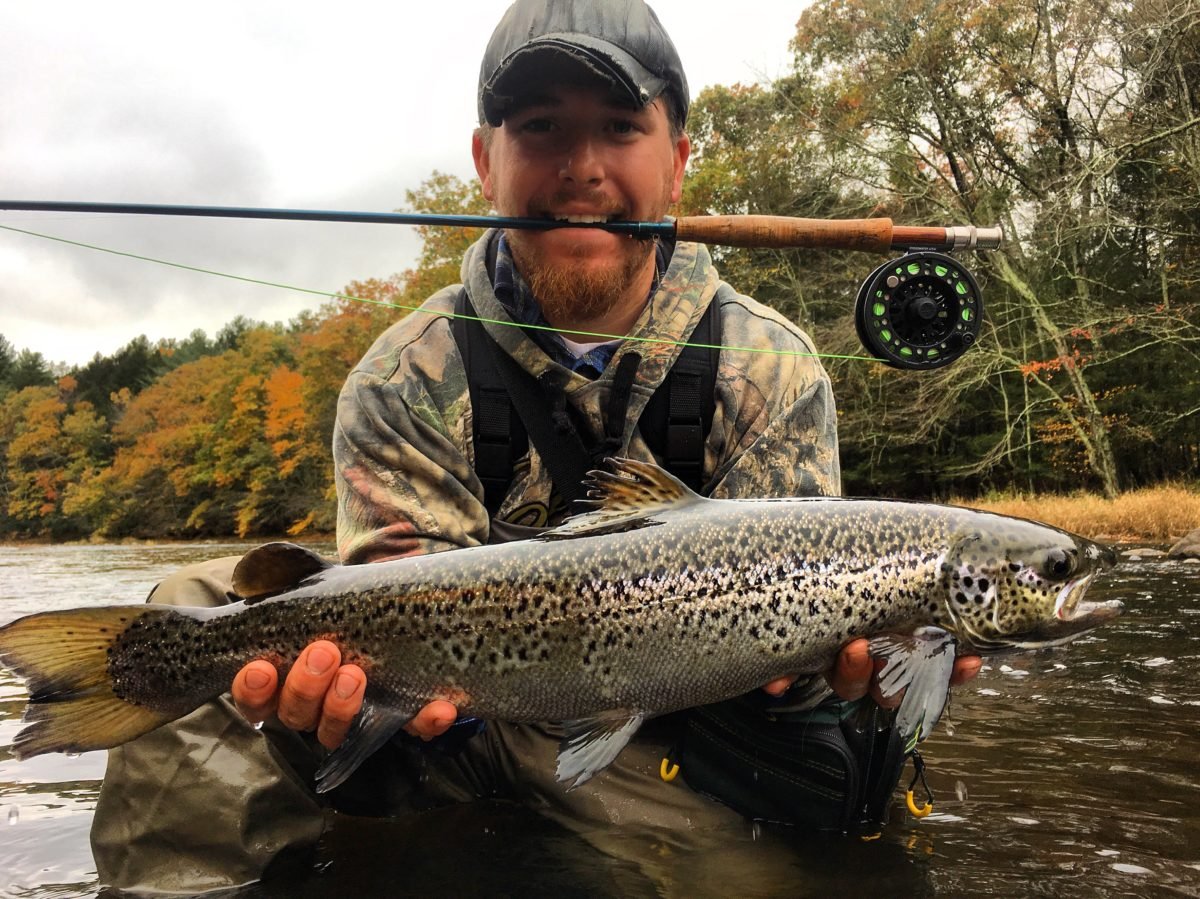 2017 1 Naugatuck River Atlantic Salmon