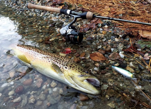 2017 1 Open Water Winter Trout