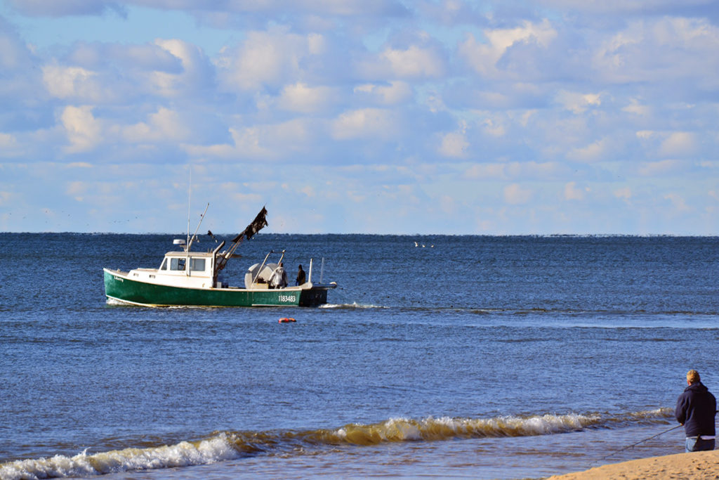2017 1 Whats Up With Striped Bass Boat
