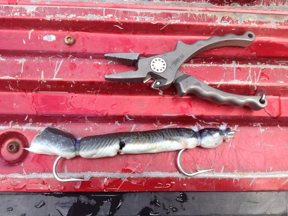 2017 10 Big Bad Bluefish Tools