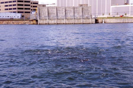2017 10 Nuclear Fishing Riverside