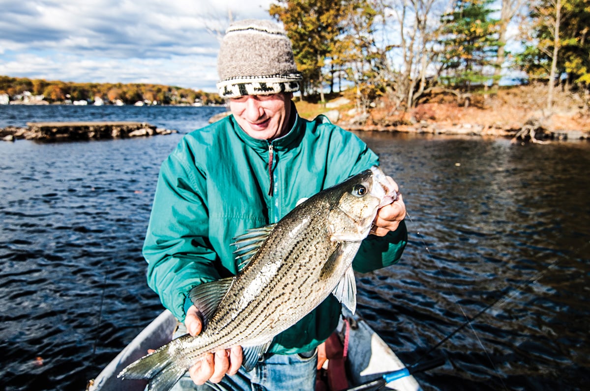 2017 10 October Fresh Top To Bottom Fisherman Nice Hybrid