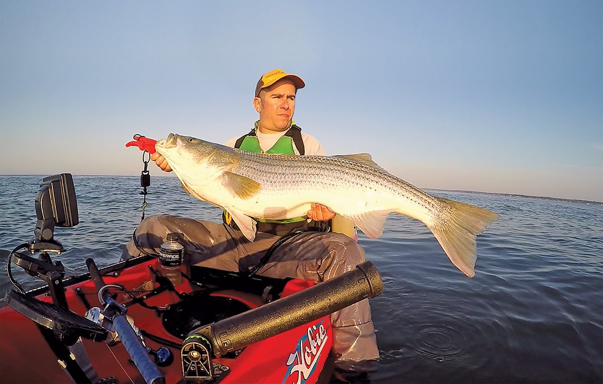 Kayak Stripers: Troll an Eel - The Fisherman