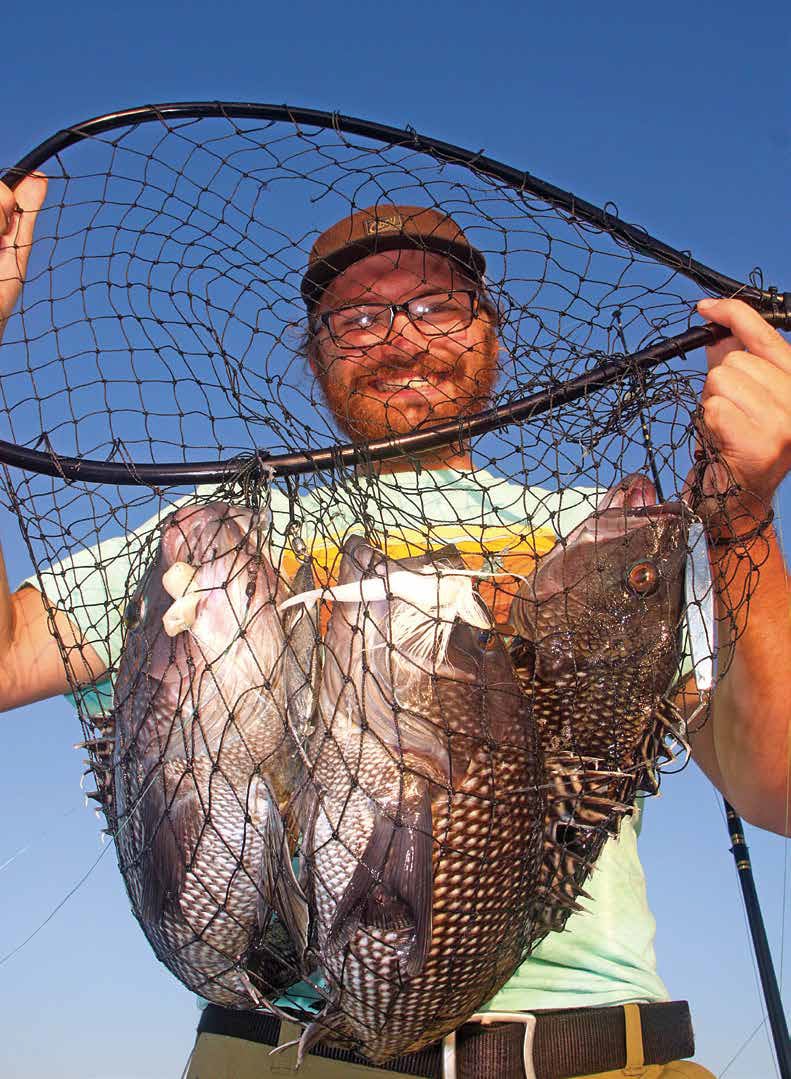 Bigger Biscuits: Diamonds for Sea Bass - The Fisherman