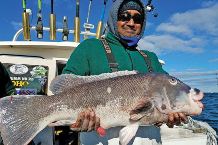 2017 11 Fall Togging Catch