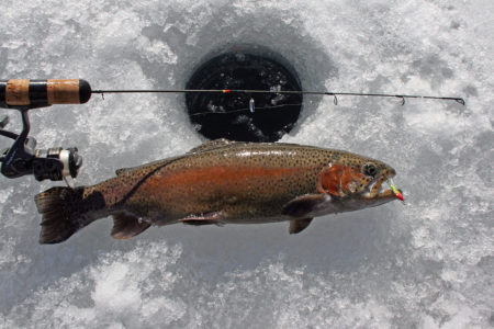 2017 11 Stocking Season Continues Ice Trout