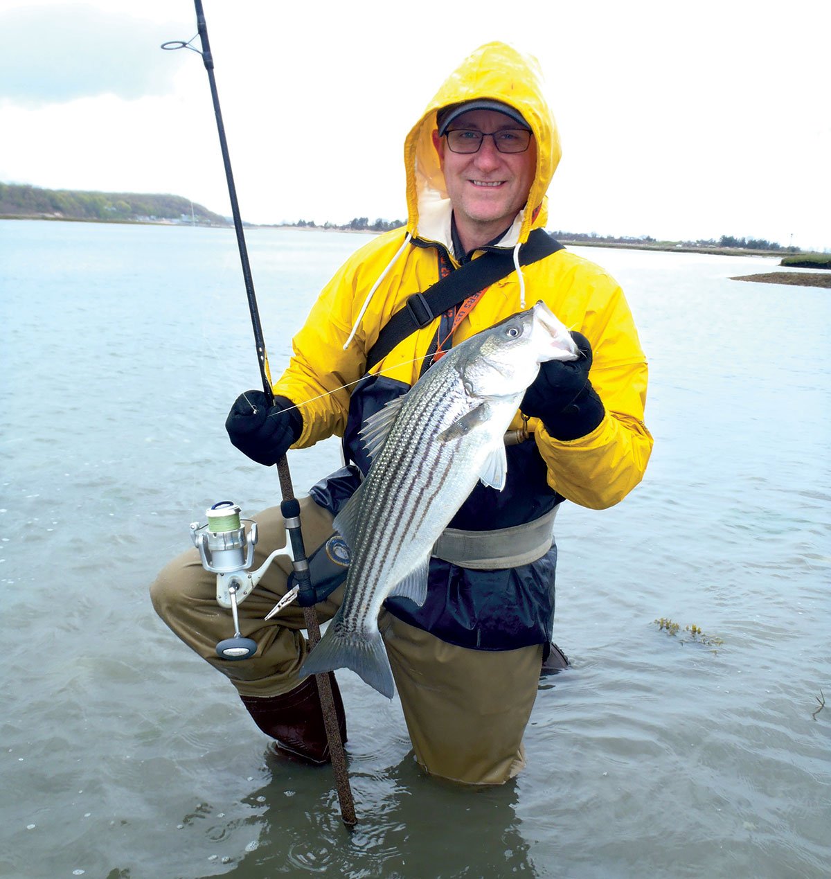 2017 2 Migrating Baits Seasons School Stripers