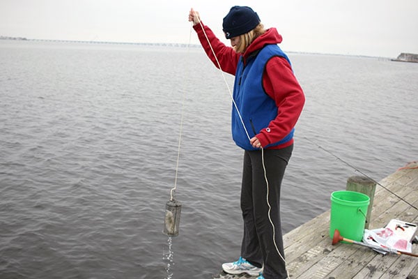 Winter Flounder Shore Thing Chum