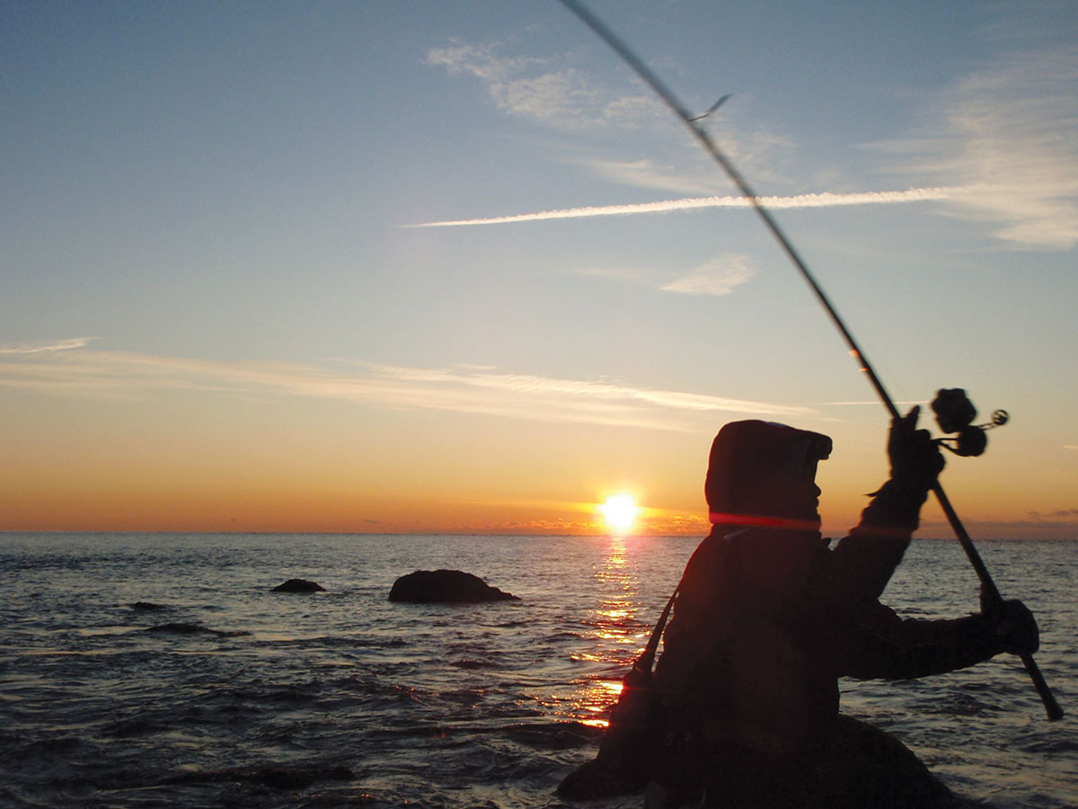 30 OKUMA IMPACT SHIELDS RIG LINE LINKS FOR SEA FISHING BREAKAWAY BAIT CLIP RIGS 