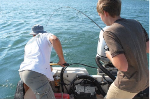 Summer Flounder Spring Warmer