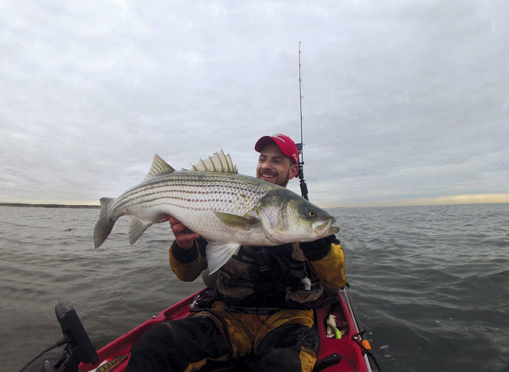 Chunking Back Bay Bass