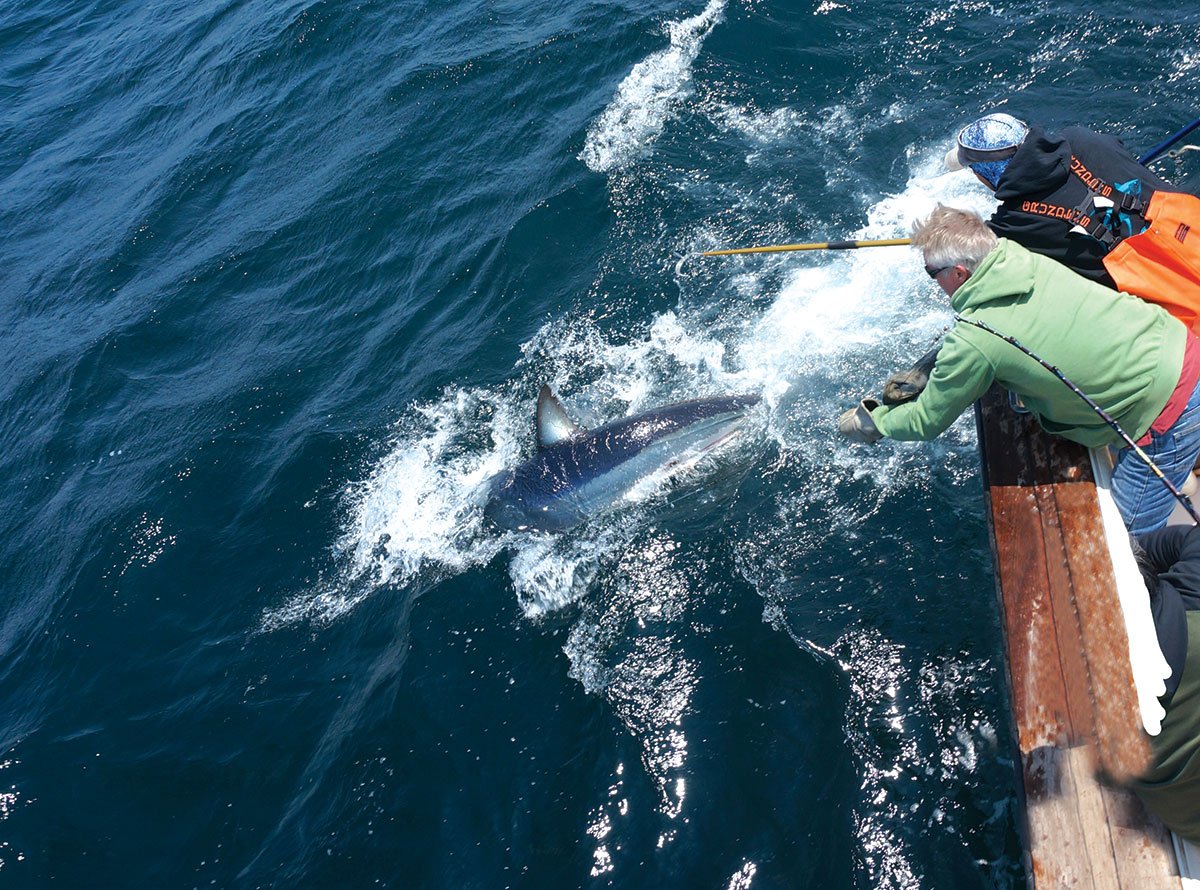 Improve Your Offshore Fishing Skills - Coastal Angler & The Angler Magazine