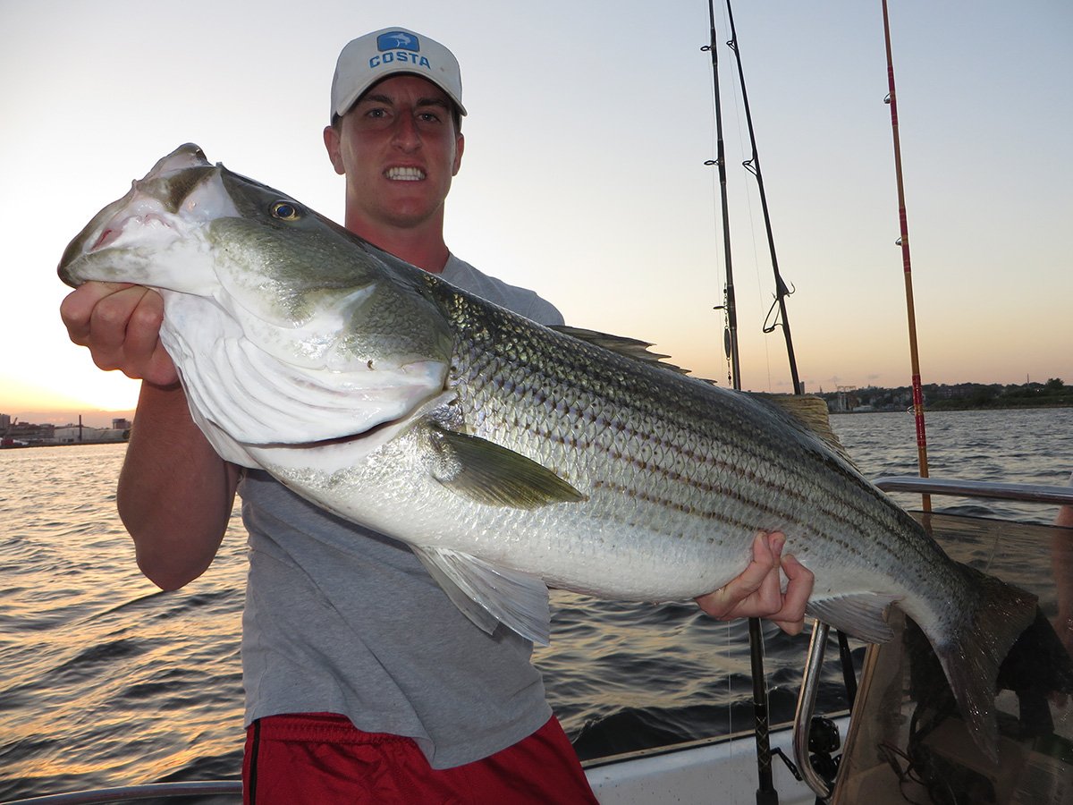 Bunker Snag and Drag - The Fisherman