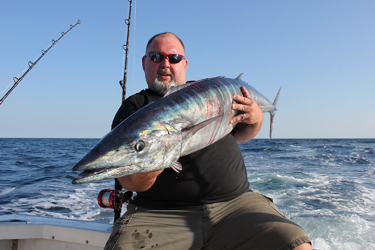 spændende Akvarium Ja On The Troll: High Speed Wahoo - The Fisherman