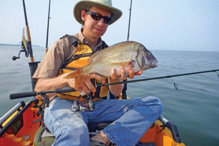 2017 8 Crack And Cast Porgies Big