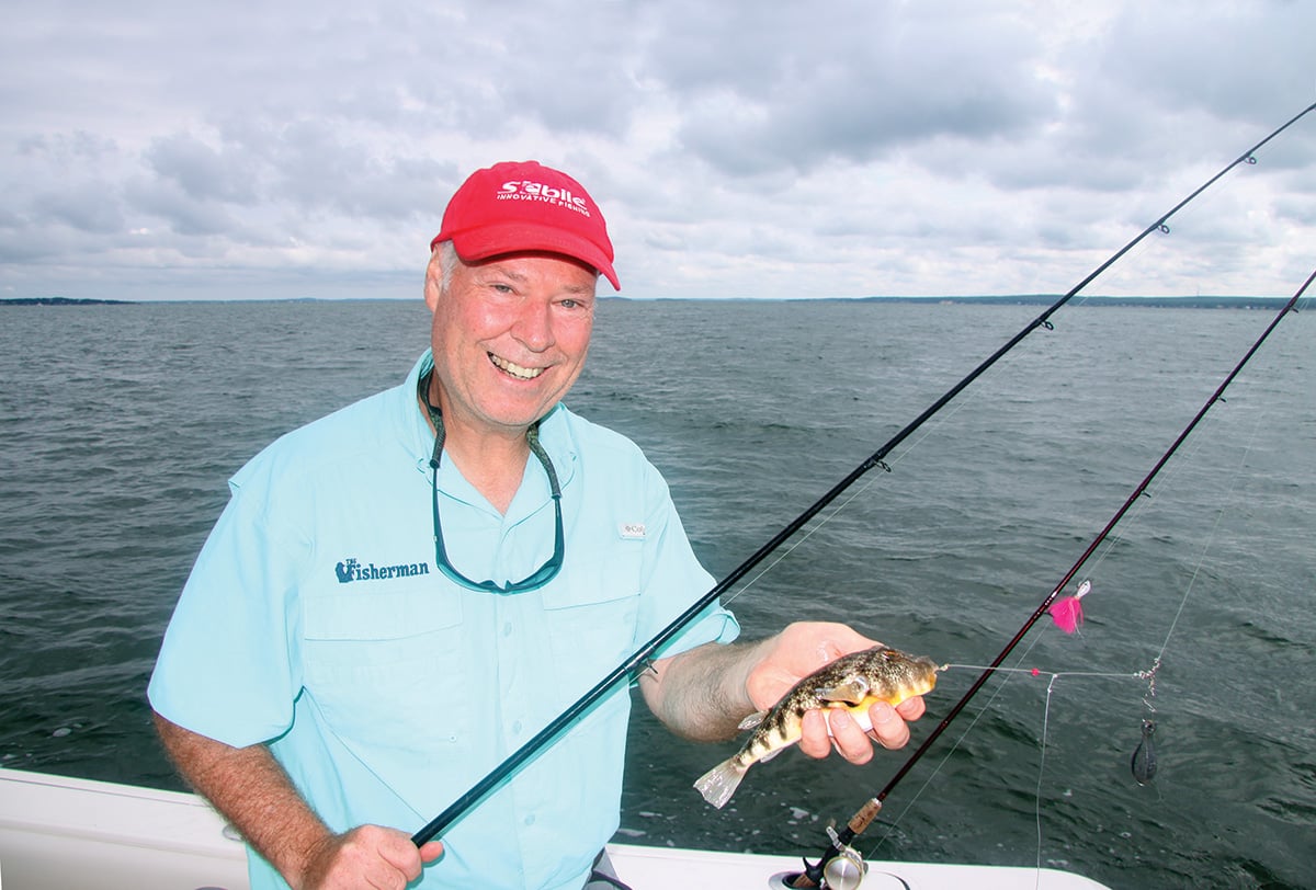 Know Your Puffers: It Could Save Your Life - The Fisherman