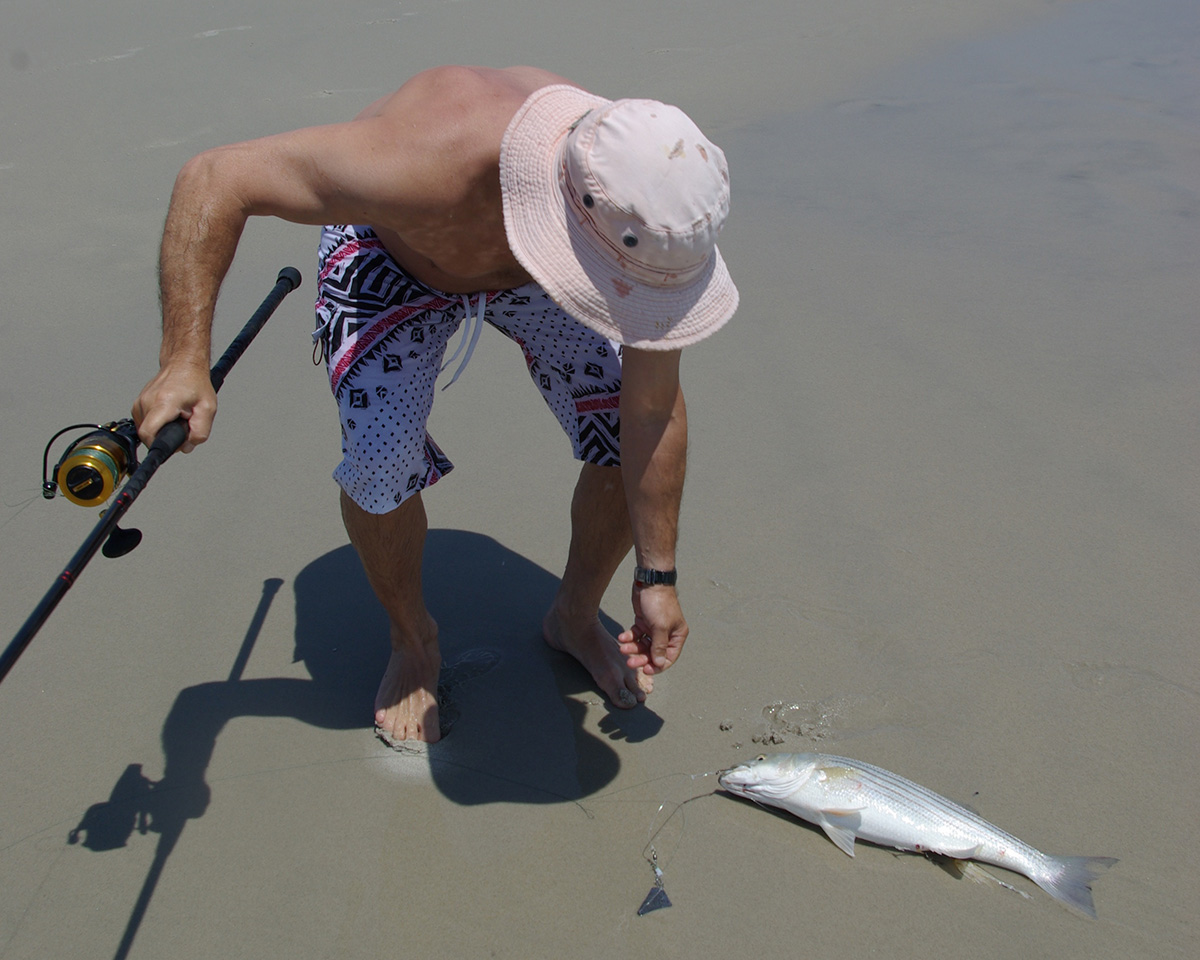 Sand Crabs: Summer Surf Sweets for Stripers - The Fisherman