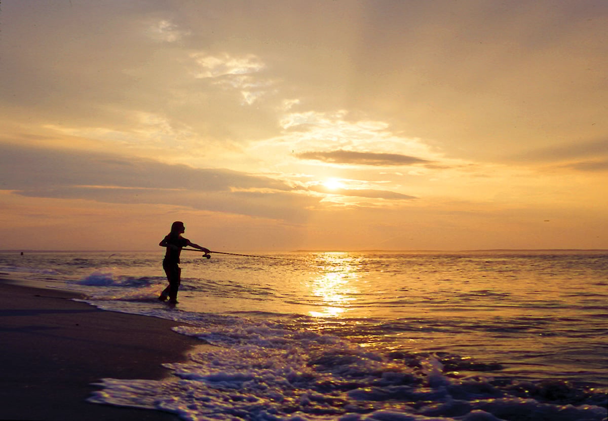 2017 8 The Fairer Kind Main