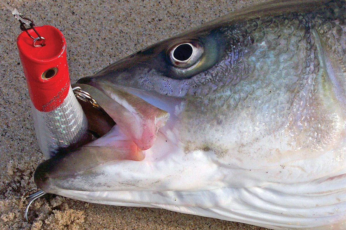Pre-Game Prep: Line-Ups for Your Lures - The Fisherman