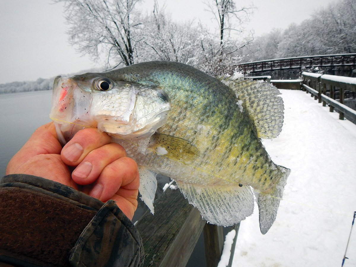 How to Catch Crappie in the Winter 