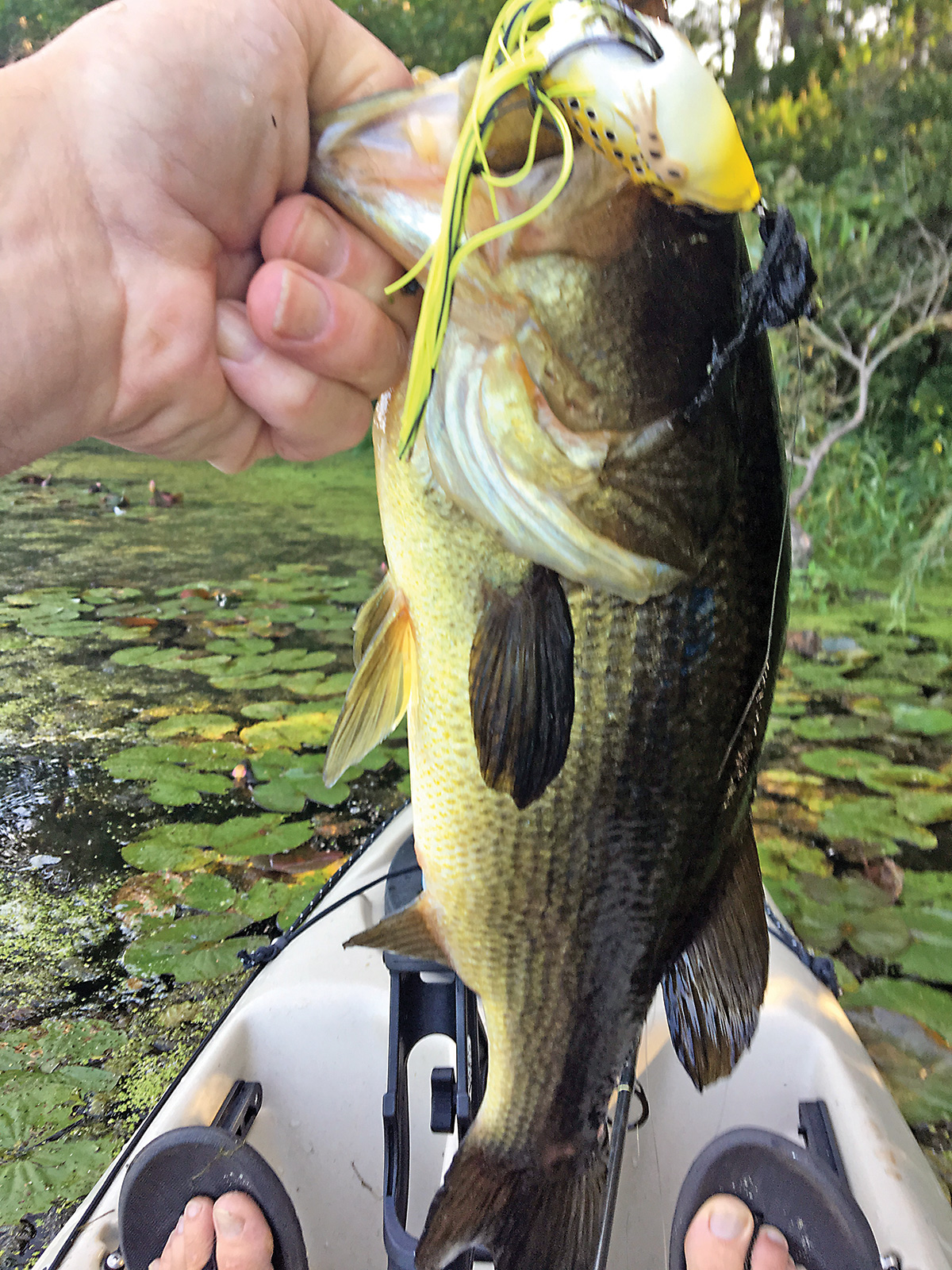 2018 3 Diversify Your Fishing Bass Frog