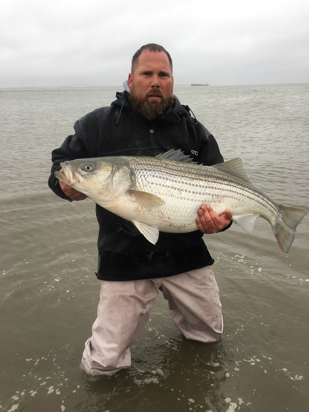 Spring Stripers: Lower Delaware River Style - The Fisherman
