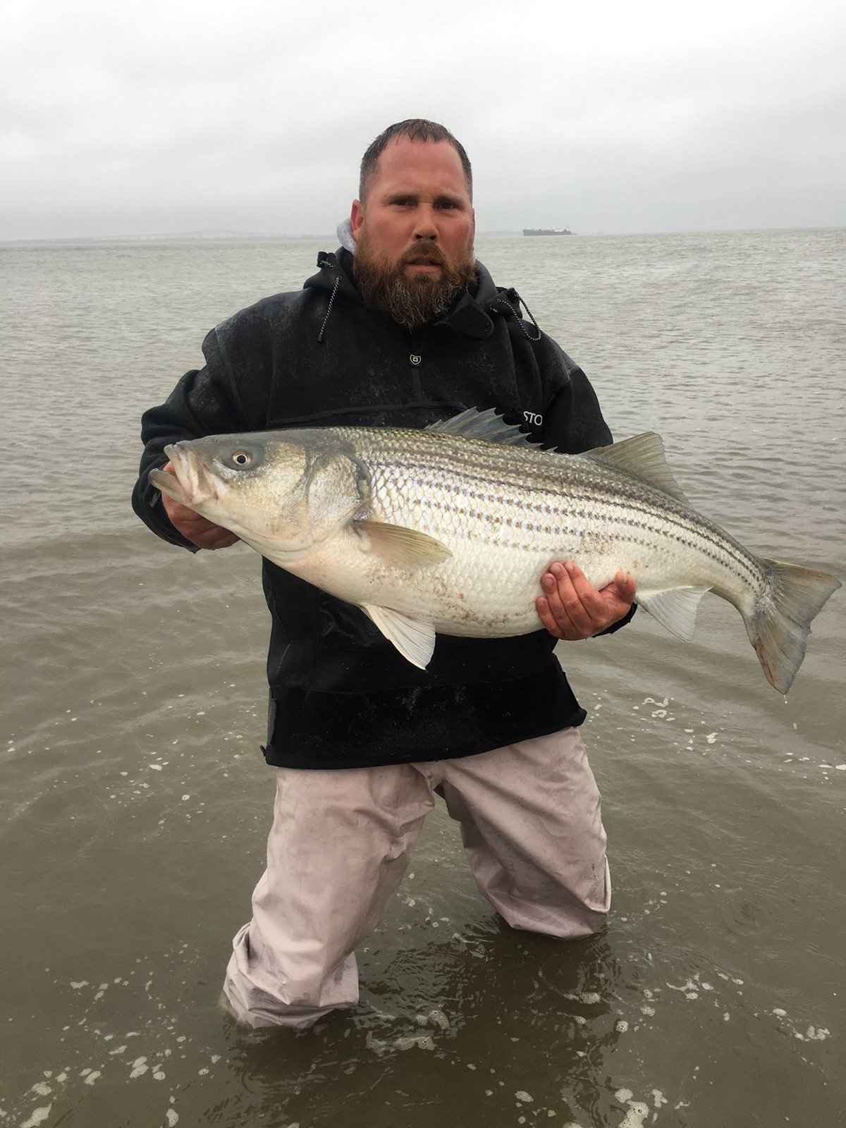 River-Run Stripers - The Fisherman