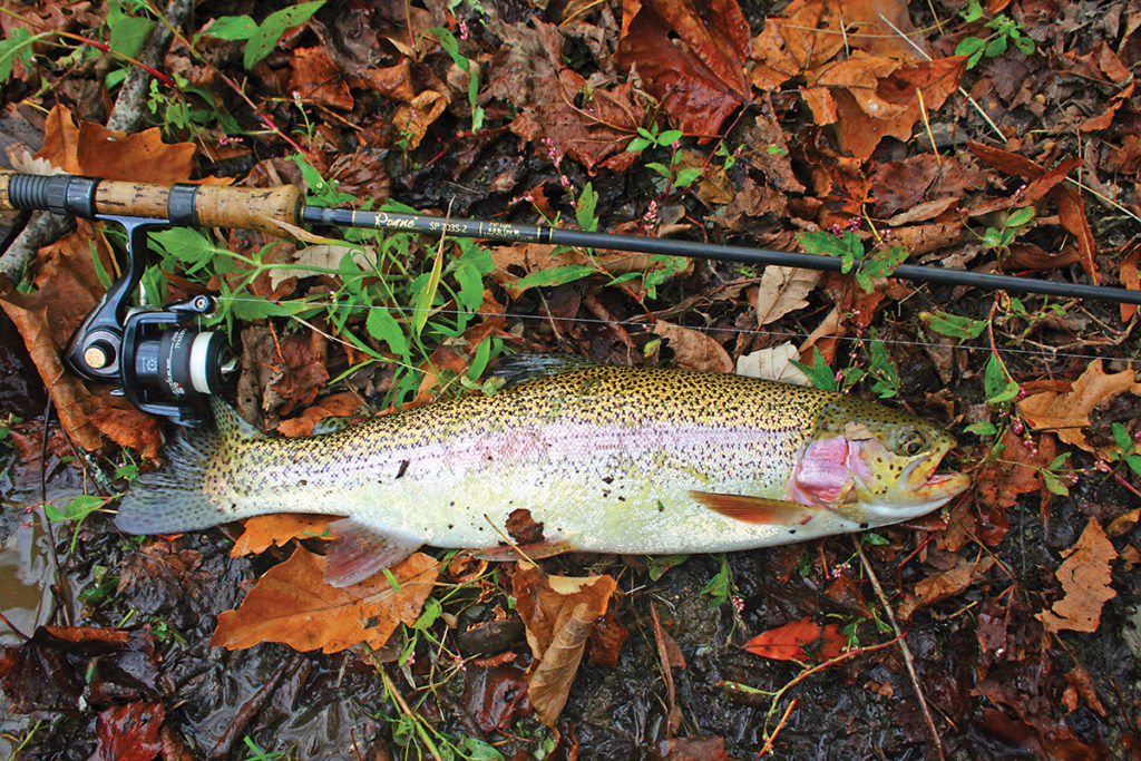 2018 4 Rainbow Cup Runneth Over MAIN IMAGE