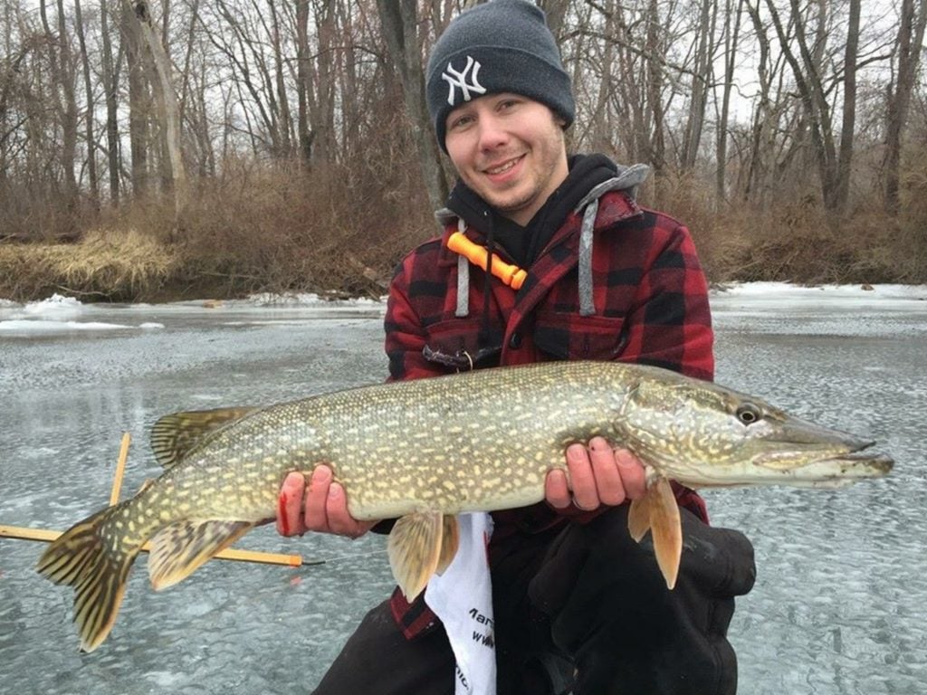 A selection of lures for pike-perch fishing during high water