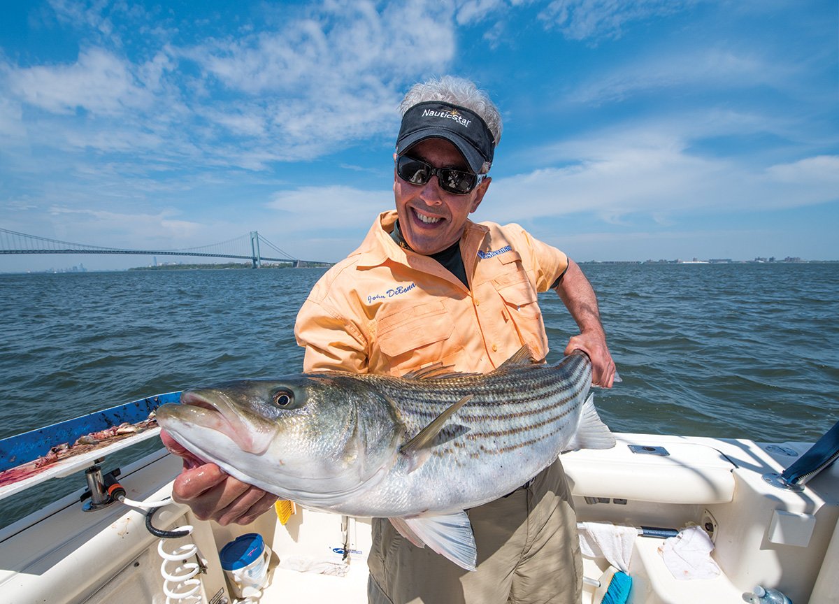 2017 10 Attracting Stripers Low Down Chunking Catch