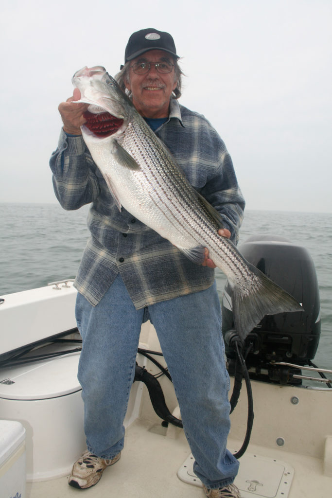 2017 11 Trolling The Deep Divers Mike Pizzolato With A Delaware Bay Striper Caught On A Stretch
