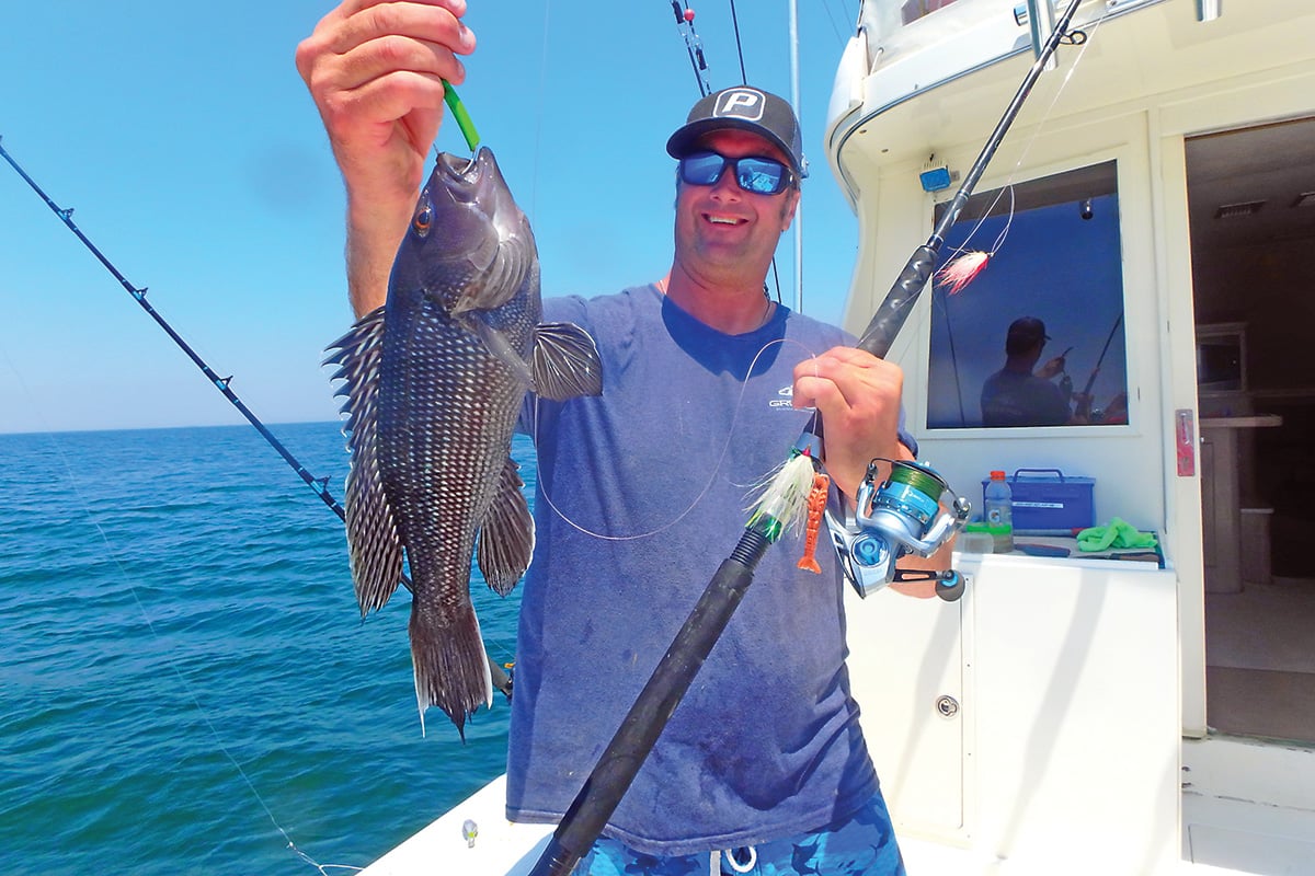 2018 10 October Sea Bassin Catch