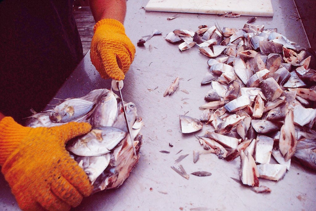 2018 10 On The Chunk Slice