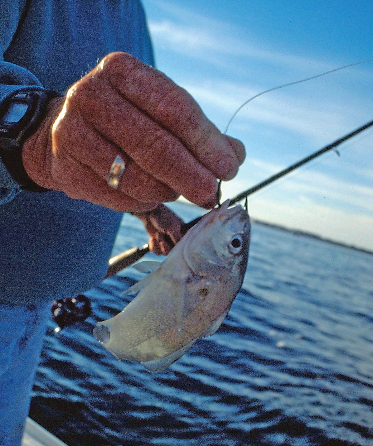 Fishing Family  Edible Delmarva