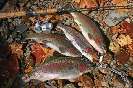 2018 11 NJ Stocking Stuffers MAIN