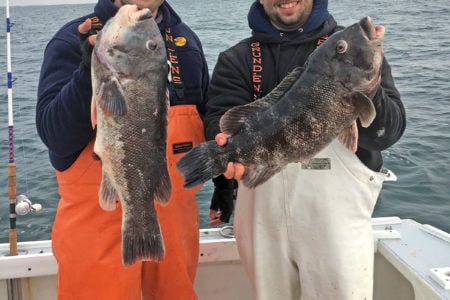 2018 11 Blackfish Mistakes Catch