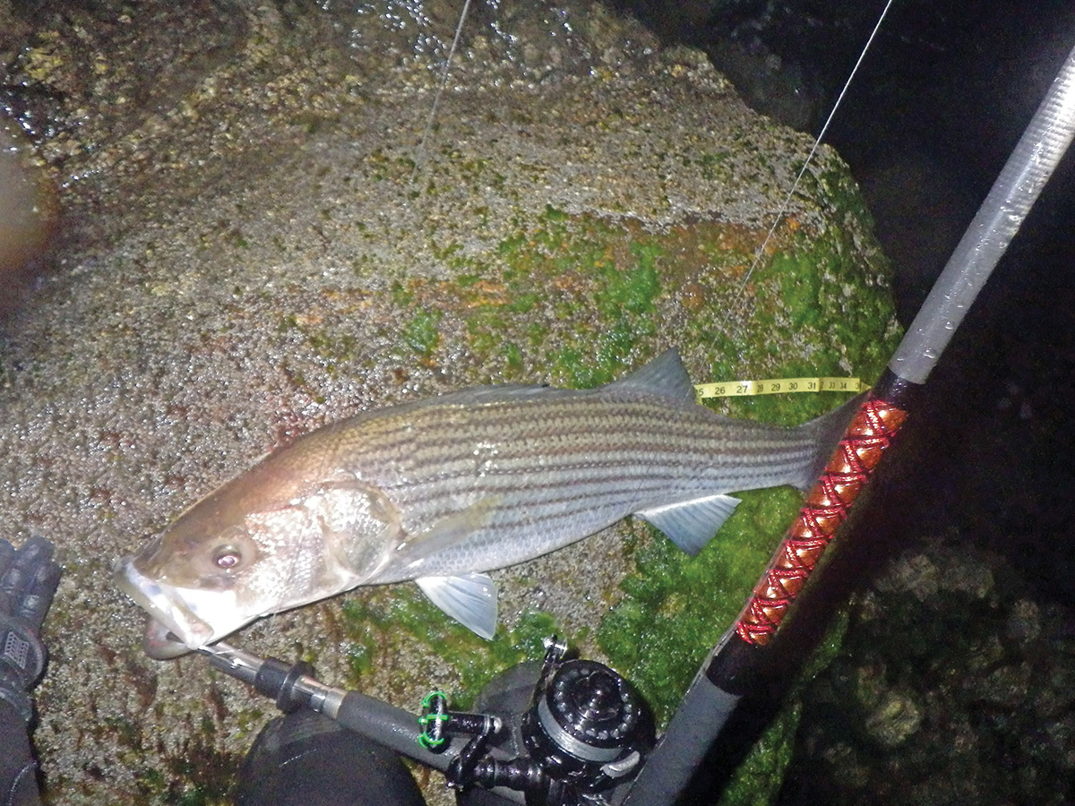 2018 11 Late Fall Outflows Fish