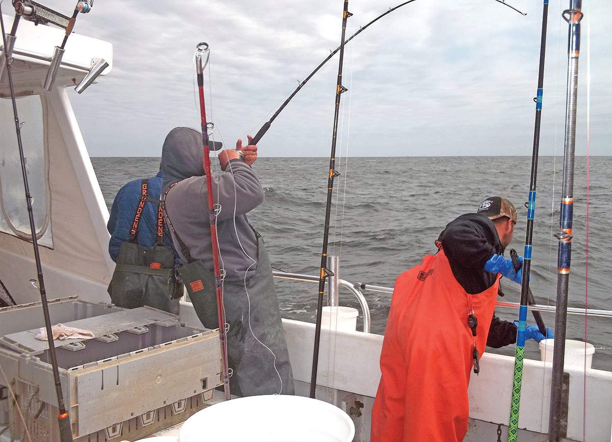 Tackling Tautog: Modern Blackfish Gear - The Fisherman