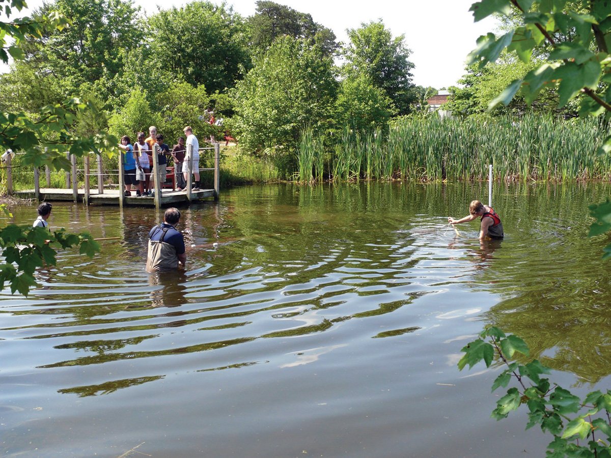 2018 11 New Angles For Success Pond