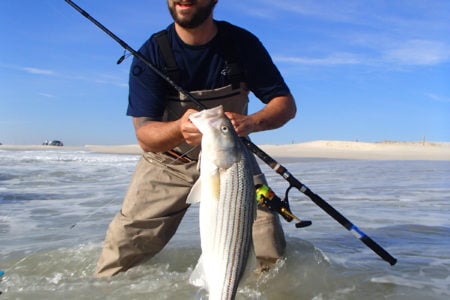 2018 11 November Around The Clock NOON