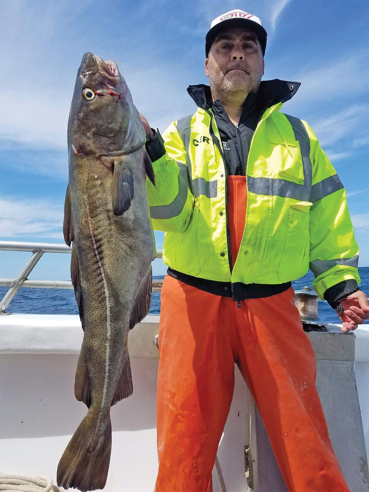 2018 11 Offshore Wreck Trips Catch 2