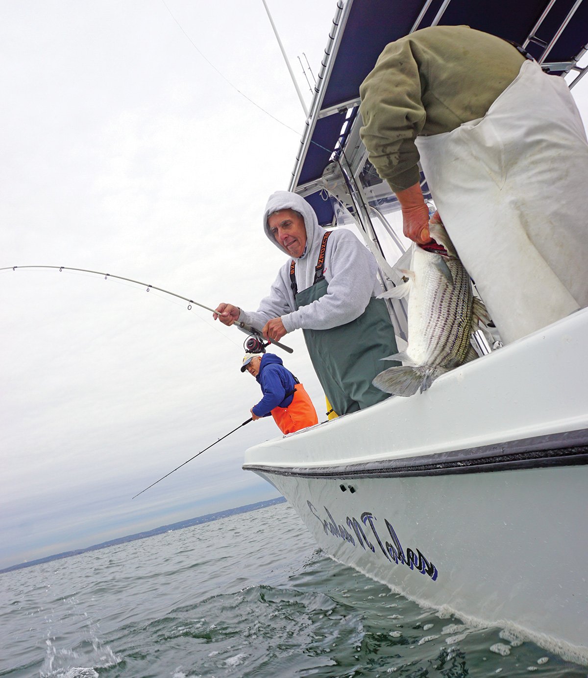 2018 11 Surface Stripers MULTIPLES BY HUTCHINSON