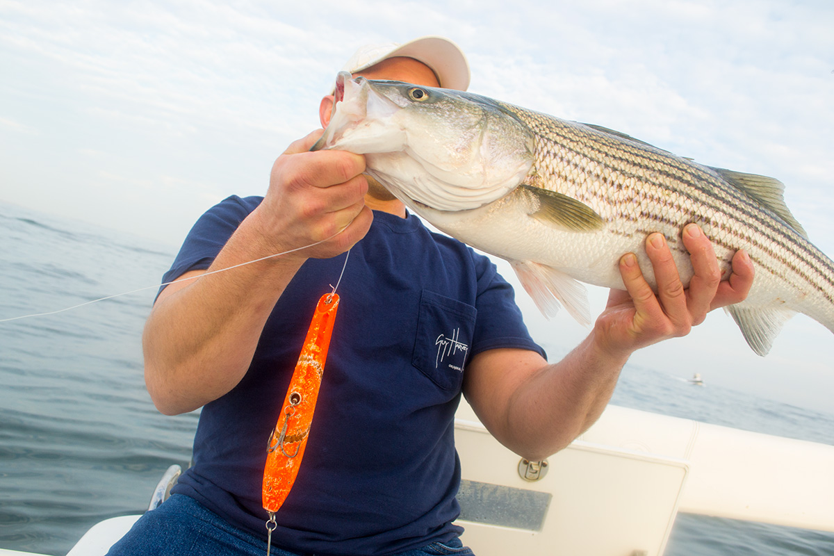 2018 11 Surface Stripers Striped Bass