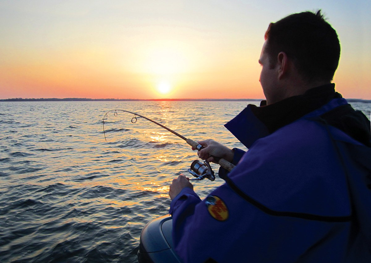 2018 2 Big Stripers For Little Trip FIGHTING FISH