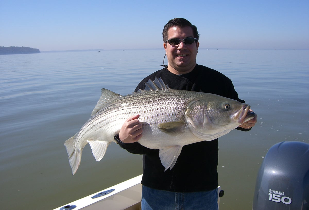 2018 2 Big Stripers For Little Trip Flats Fatty