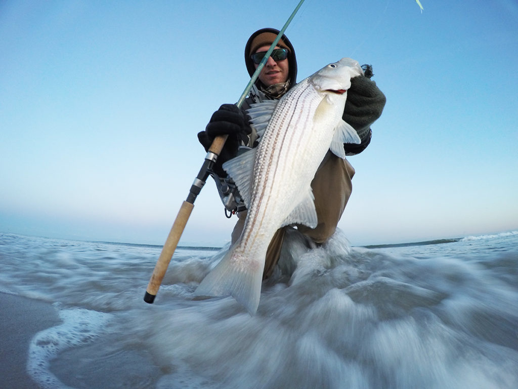 2018 3 Scale Down For Stripers Catch
