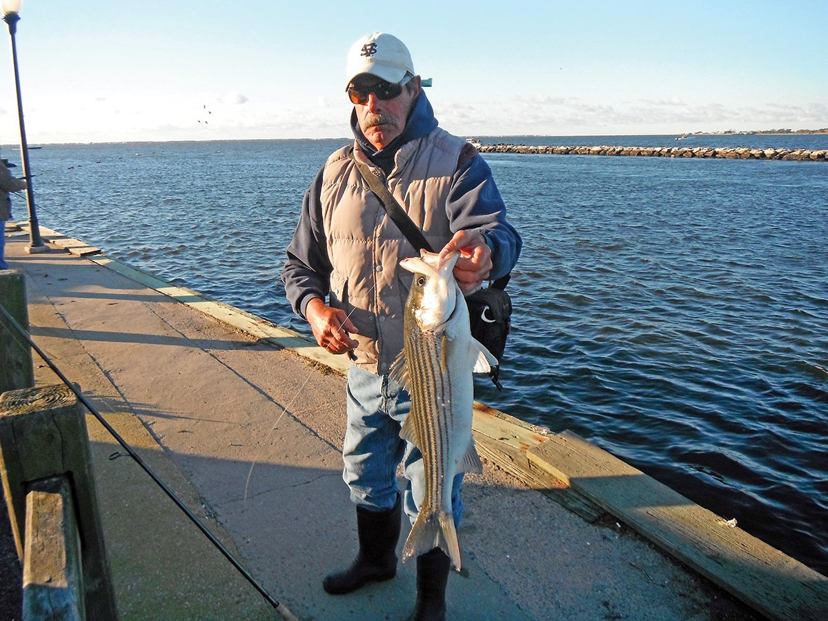 2018 3 Scale Down For Stripers Catch 2