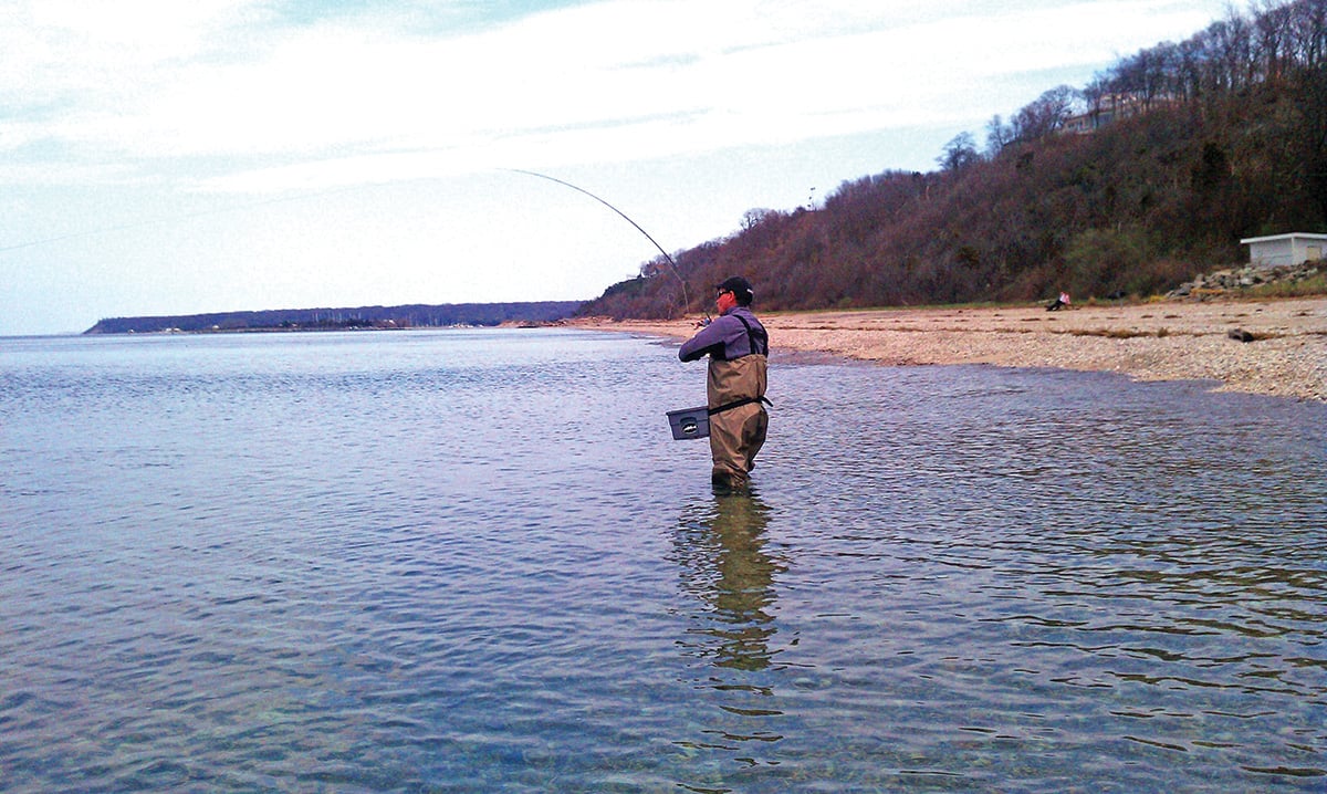 2018 3 Scale Down For Stripers Fishing 2